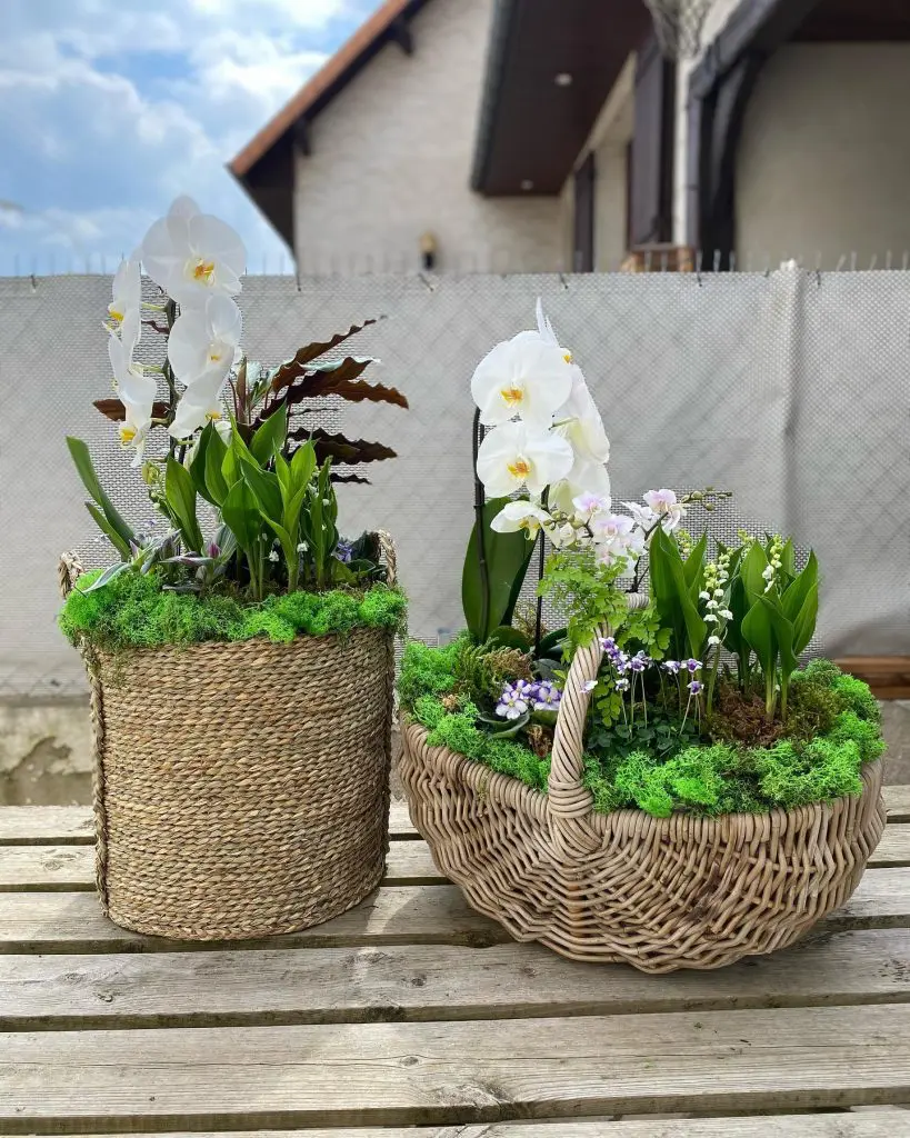 muguet