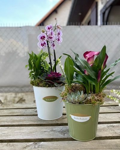 muguet