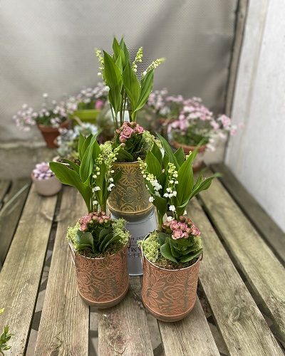 muguet