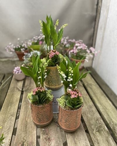 muguet